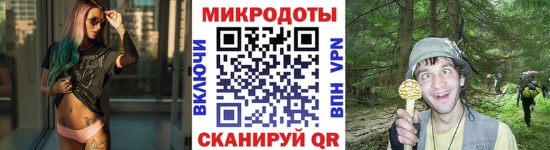Псилоцибиновые грибы Cubensis  Прохладный 